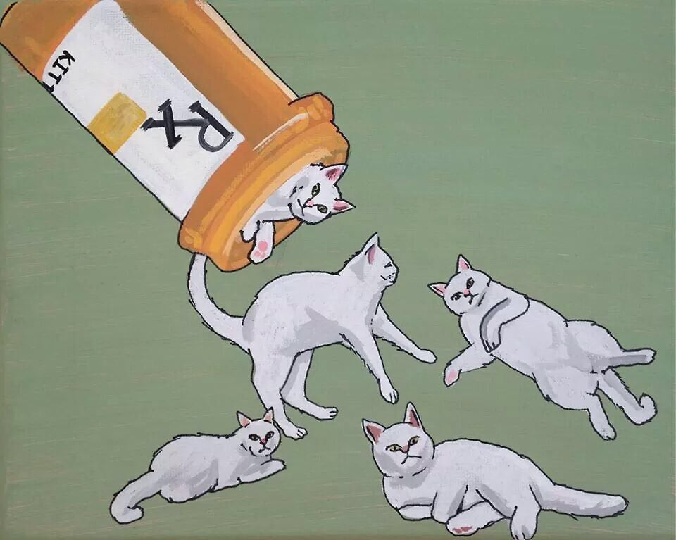 Котик и наркотик тест на наркотики ошибается